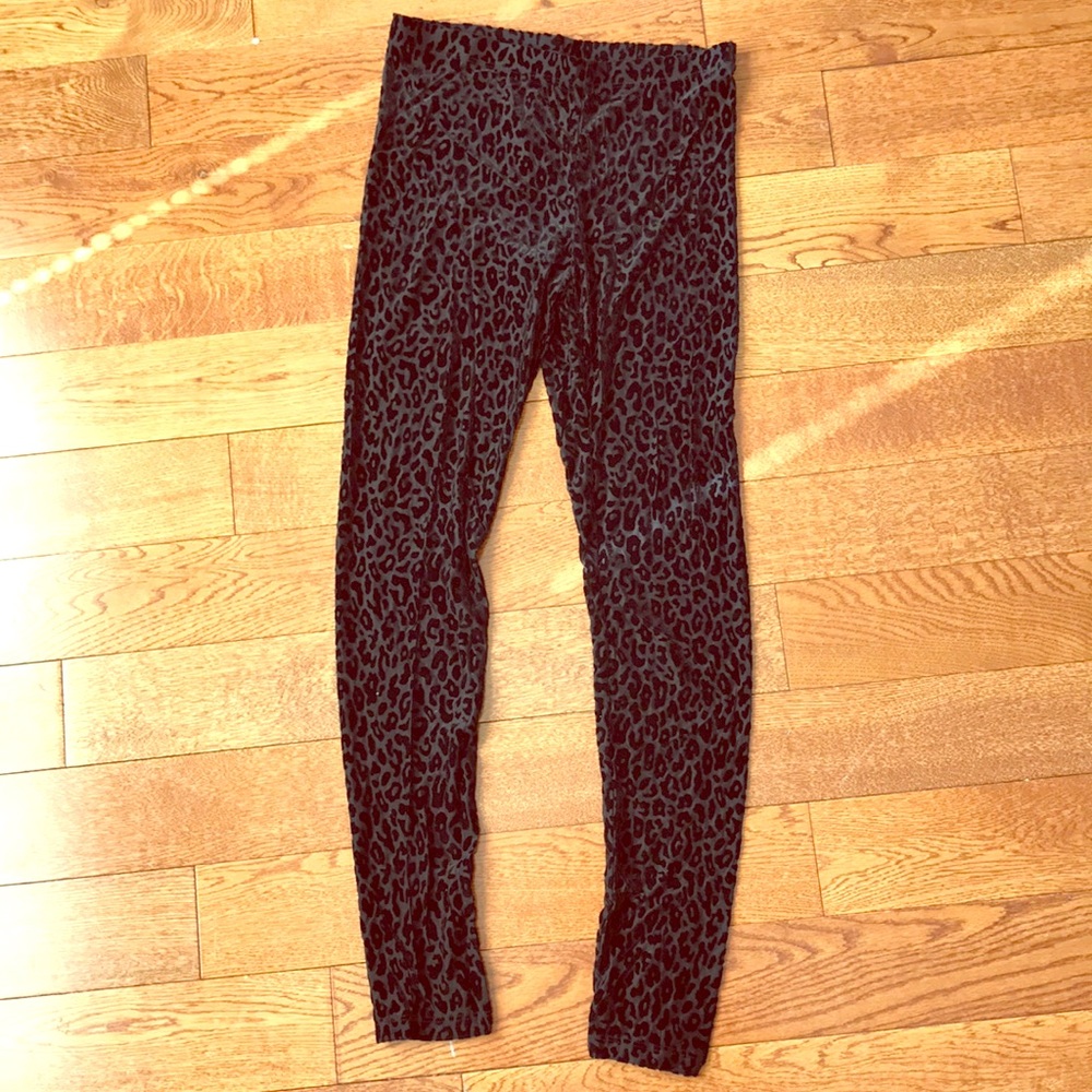 leopard soft sheer pants